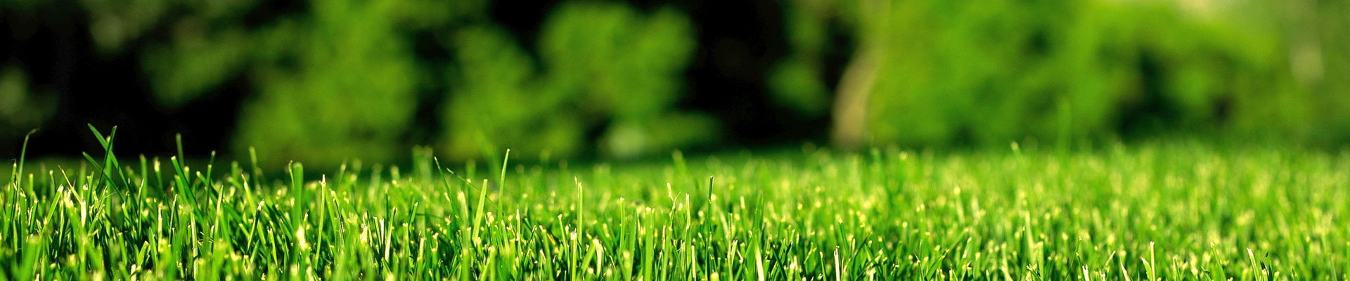 用綠色點(diǎn)綴世界，用生機(jī)感動(dòng)人心